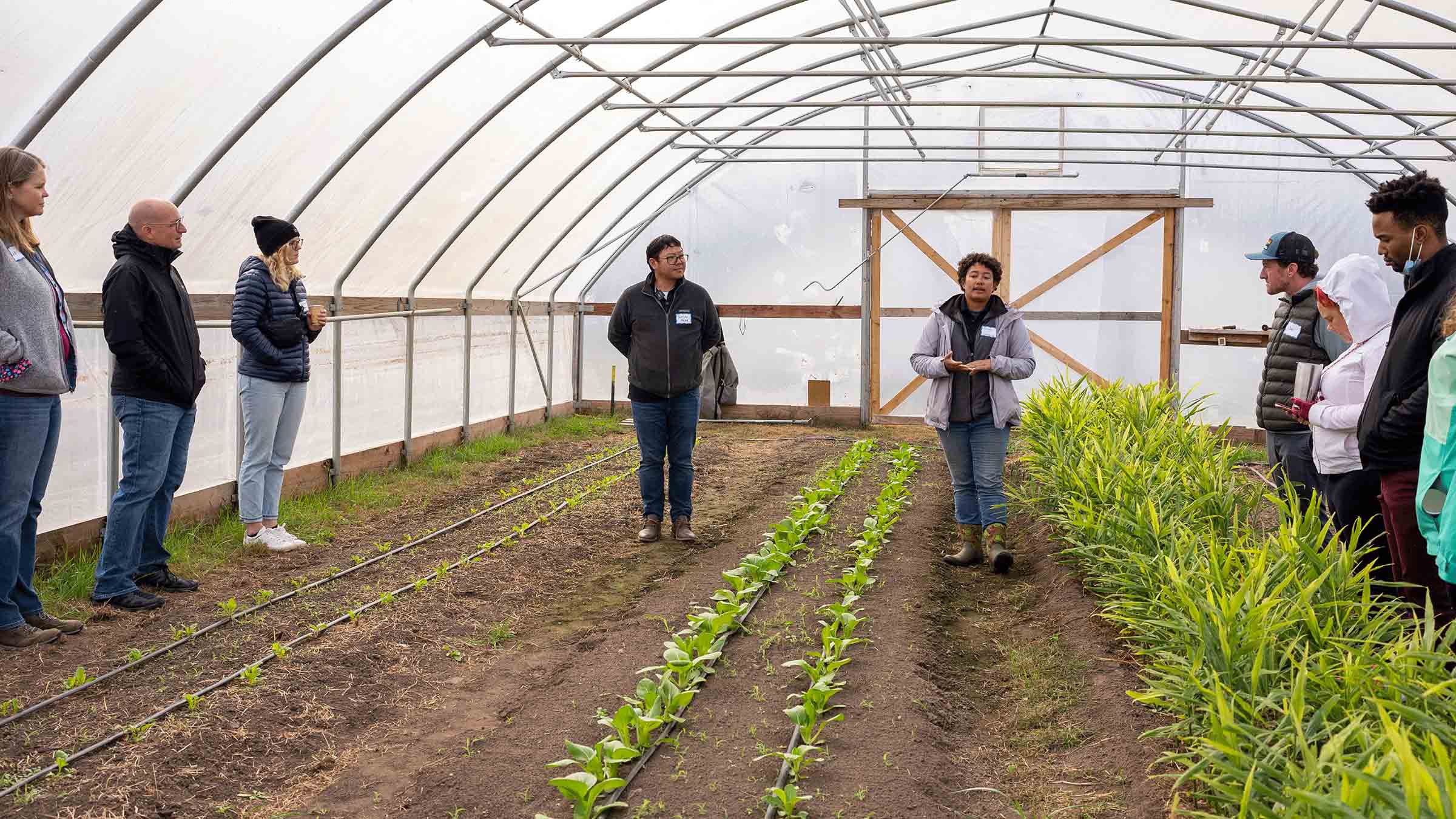 A group of people are listening to a non-profit partner explain the work they do in food security while standing in a greenhouse