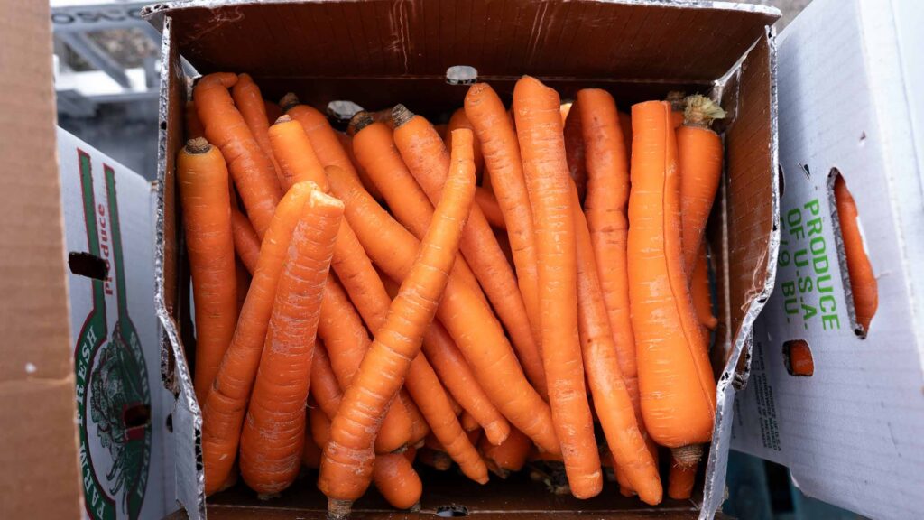 Partnering in Food Security With CAPI USA