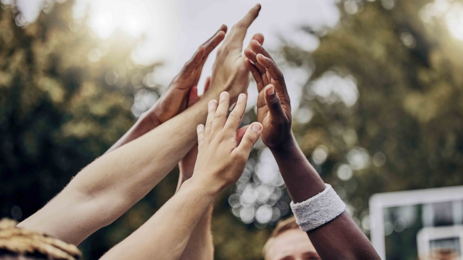 A diverse group of community raising their hands in celebration and collaboration.